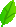 はっぱ